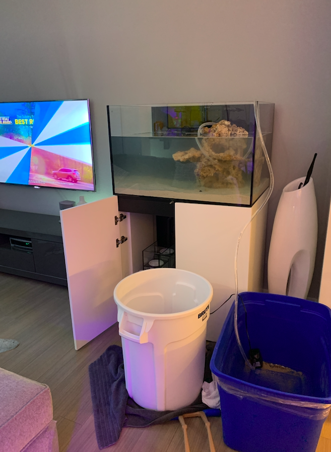 Screen Shot 2020-06-01 at 12.42.50 PM.png