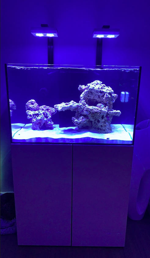 Screen Shot 2020-06-01 at 12.44.26 PM.png