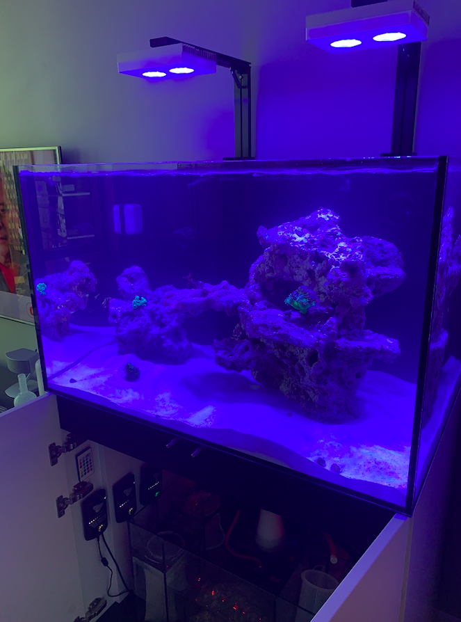 Screen Shot 2020-06-01 at 12.45.03 PM.png