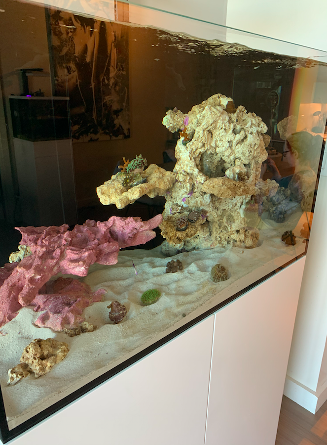 Screen Shot 2020-06-01 at 12.47.42 PM.png