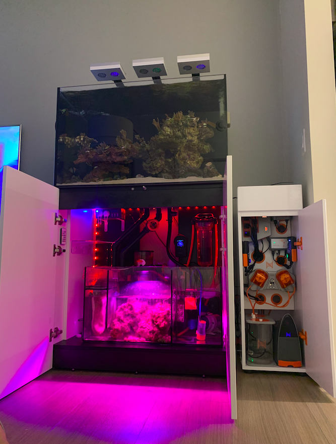 Screen Shot 2020-06-01 at 12.53.59 PM.png