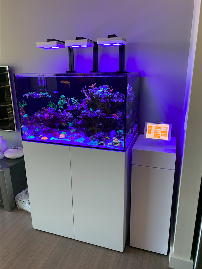 Screen Shot 2020-06-14 at 3.56.01 PM.png