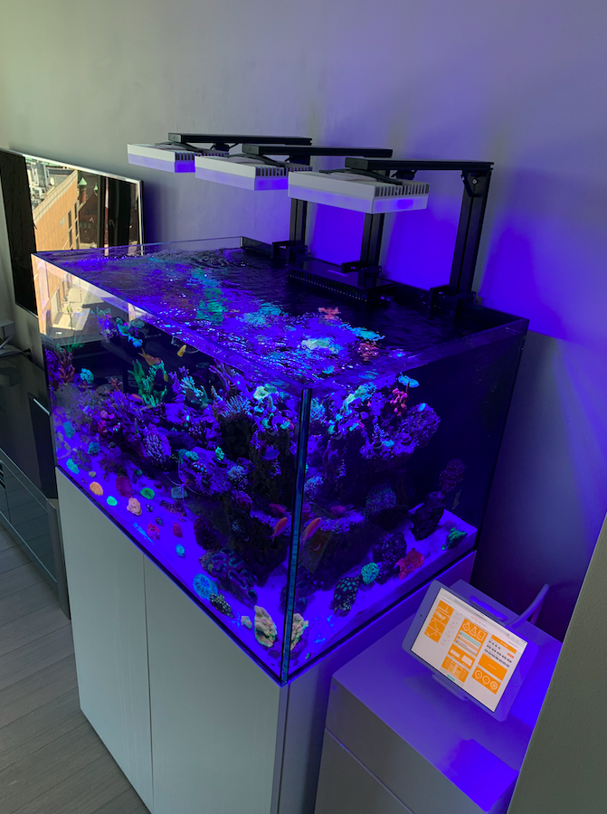 Screen Shot 2020-06-14 at 3.56.23 PM.png