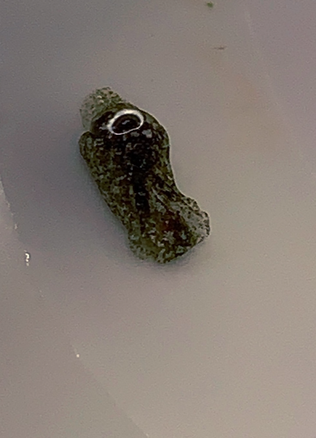 Screen Shot 2020-07-15 at 9.58.34 AM.png