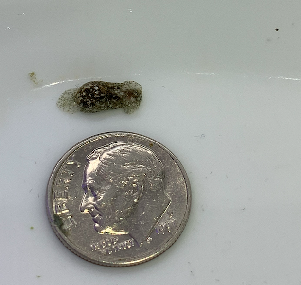 Screen Shot 2020-07-15 at 9.59.52 AM.png