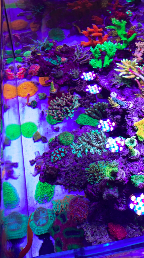 Screen Shot 2020-08-10 at 5.23.05 PM.png