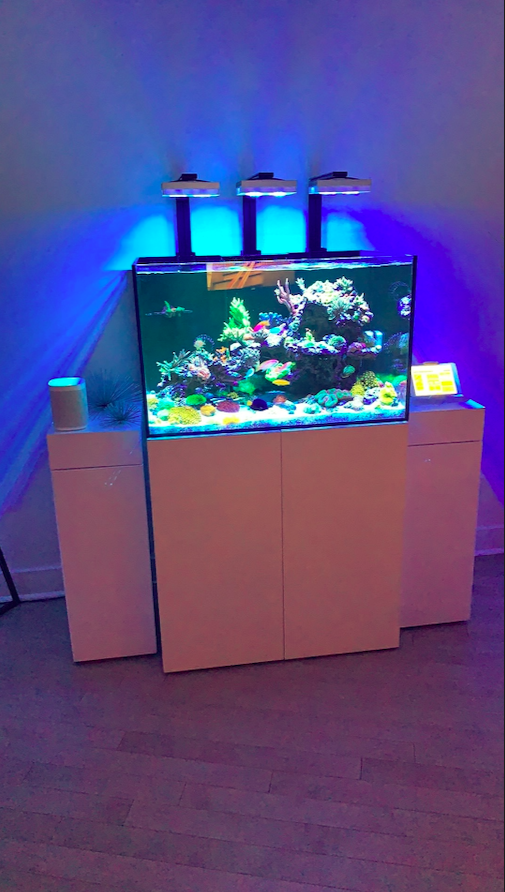 Screen Shot 2020-10-28 at 11.24.58 AM.png