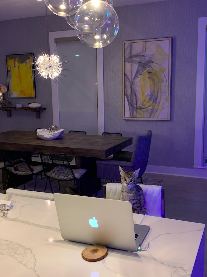 Screen Shot 2020-10-28 at 11.28.41 AM.png