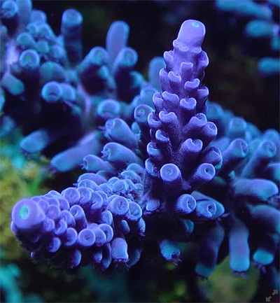 Screen Shot 2022-04-15 at 7.53.01 AM.png Screen Shot 2022-04-15 at 7.53.01 AM.png