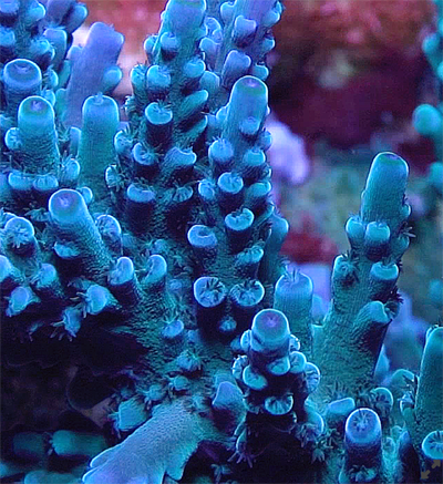 Screen Shot 2022-04-15 at 7.54.12 AM.png Screen Shot 2022-04-15 at 7.54.12 AM.png