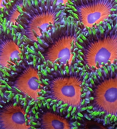 Screen Shot 2022-04-15 at 7.54.34 AM.png Screen Shot 2022-04-15 at 7.54.34 AM.png