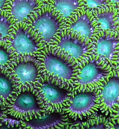 Screen Shot 2022-04-15 at 7.54.43 AM.png Screen Shot 2022-04-15 at 7.54.43 AM.png