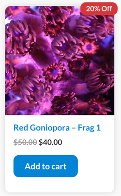 Screen Shot 2022-04-27 at 3.55.15 PM.png