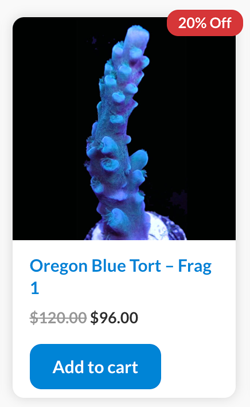 Screen Shot 2022-04-27 at 3.55.30 PM.png