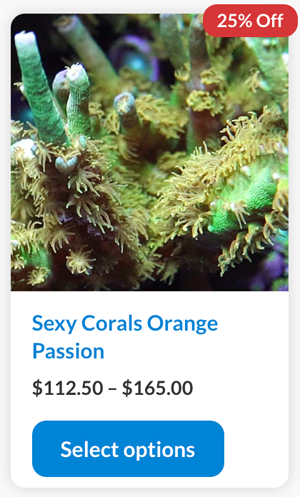 Screen Shot 2022-08-01 at 2.51.10 PM.png