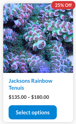 Screen Shot 2022-08-01 at 2.51.18 PM.png