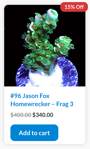 Screen Shot 2022-09-05 at 9.42.32 AM.png