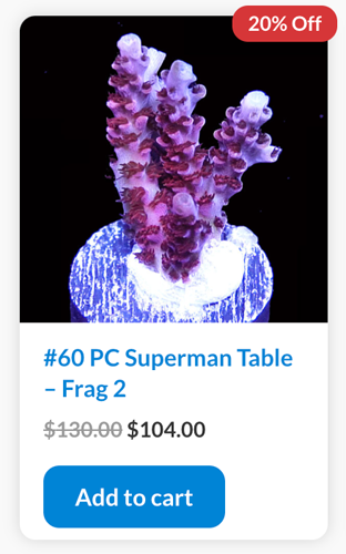 Screen Shot 2022-09-05 at 9.42.56 AM.png