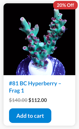 Screen Shot 2022-09-05 at 9.43.05 AM.png