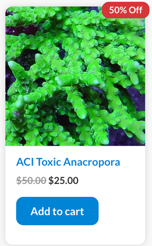 Screen Shot 2022-09-23 at 3.25.49 PM.png