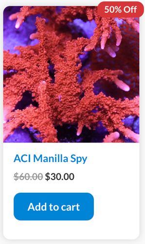 Screen Shot 2022-09-23 at 3.25.57 PM.png