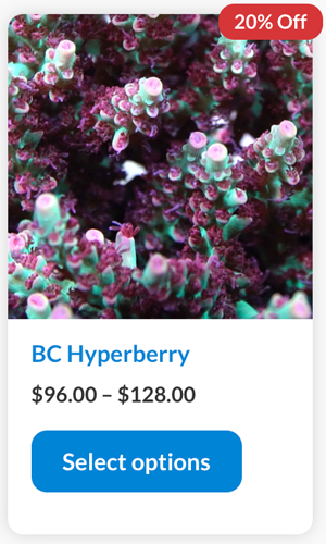 Screen Shot 2022-09-23 at 3.26.07 PM.png