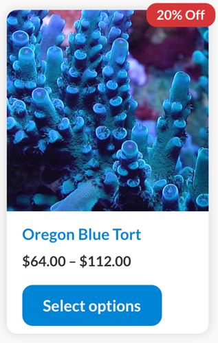 Screen Shot 2022-09-23 at 3.31.52 PM.png