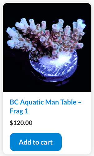 Screen Shot 2022-11-01 at 9.53.16 AM.jpg