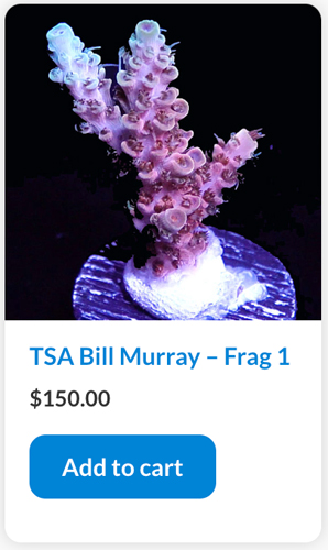 Screen Shot 2022-11-01 at 9.53.27 AM.jpg