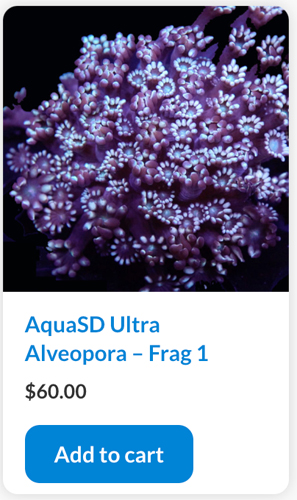 Screen Shot 2022-11-01 at 9.53.37 AM.jpg