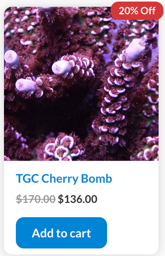 Screen Shot 2022-11-17 at 8.47.25 AM.jpg