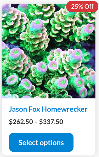 Screen Shot 2022-11-17 at 8.49.16 AM.jpg