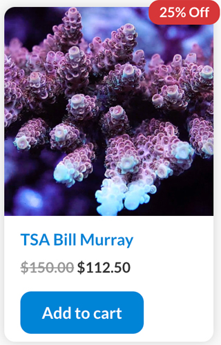 Screen Shot 2022-11-17 at 8.52.40 AM.jpg