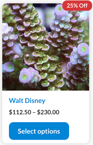 Screen Shot 2022-11-17 at 8.54.12 AM.jpg