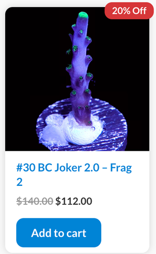 Screen Shot 2023-01-10 at 7.41.11 AM.png