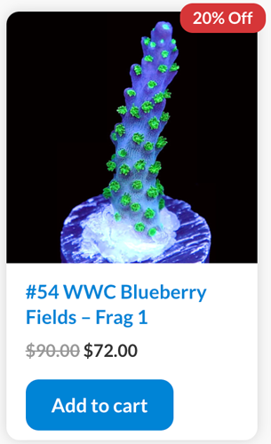 Screen Shot 2023-01-10 at 7.42.01 AM.png