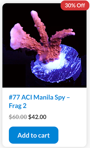 Screen Shot 2023-01-10 at 7.42.49 AM.png