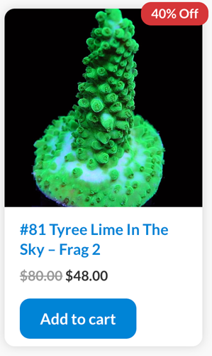 Screen Shot 2023-01-10 at 7.43.41 AM.png