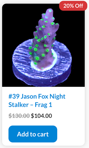 Screen Shot 2023-03-13 at 9.04.32 AM.png