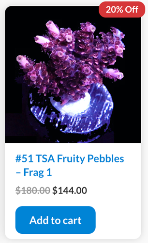 Screen Shot 2023-03-13 at 9.04.43 AM.png