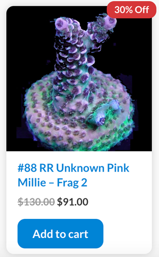 Screen Shot 2023-03-13 at 9.08.44 AM.png