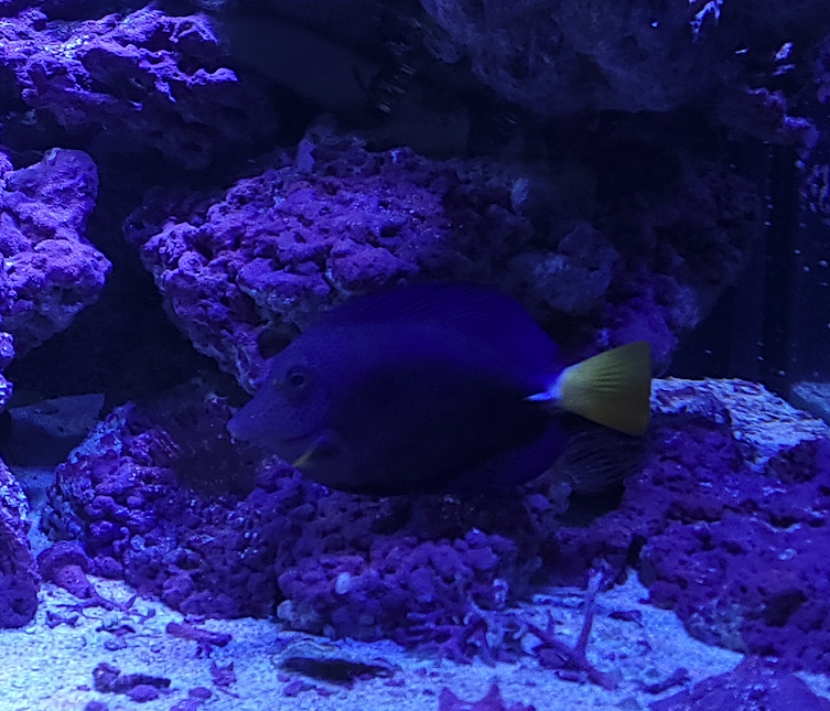 Screenshot 2023-07-02 at 1.51.23 PM.png