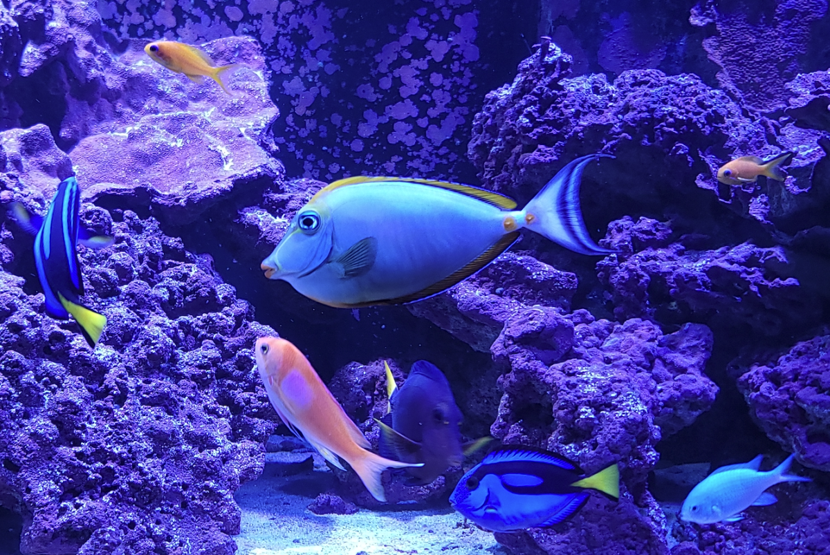 Screenshot 2023-07-02 at 1.53.14 PM.png