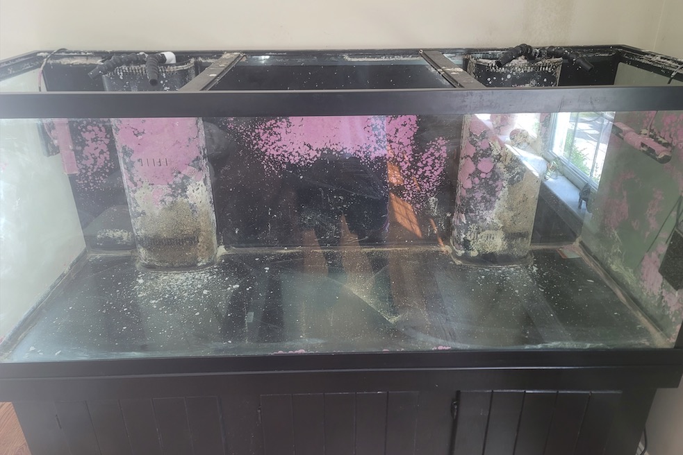 Screenshot 2023-09-09 at 1.19.04 PM.jpg