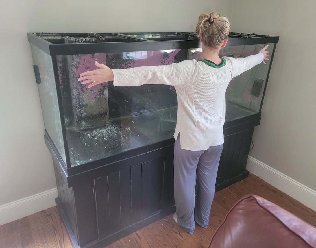 Screenshot 2023-09-09 at 12.46.28 PM.jpg