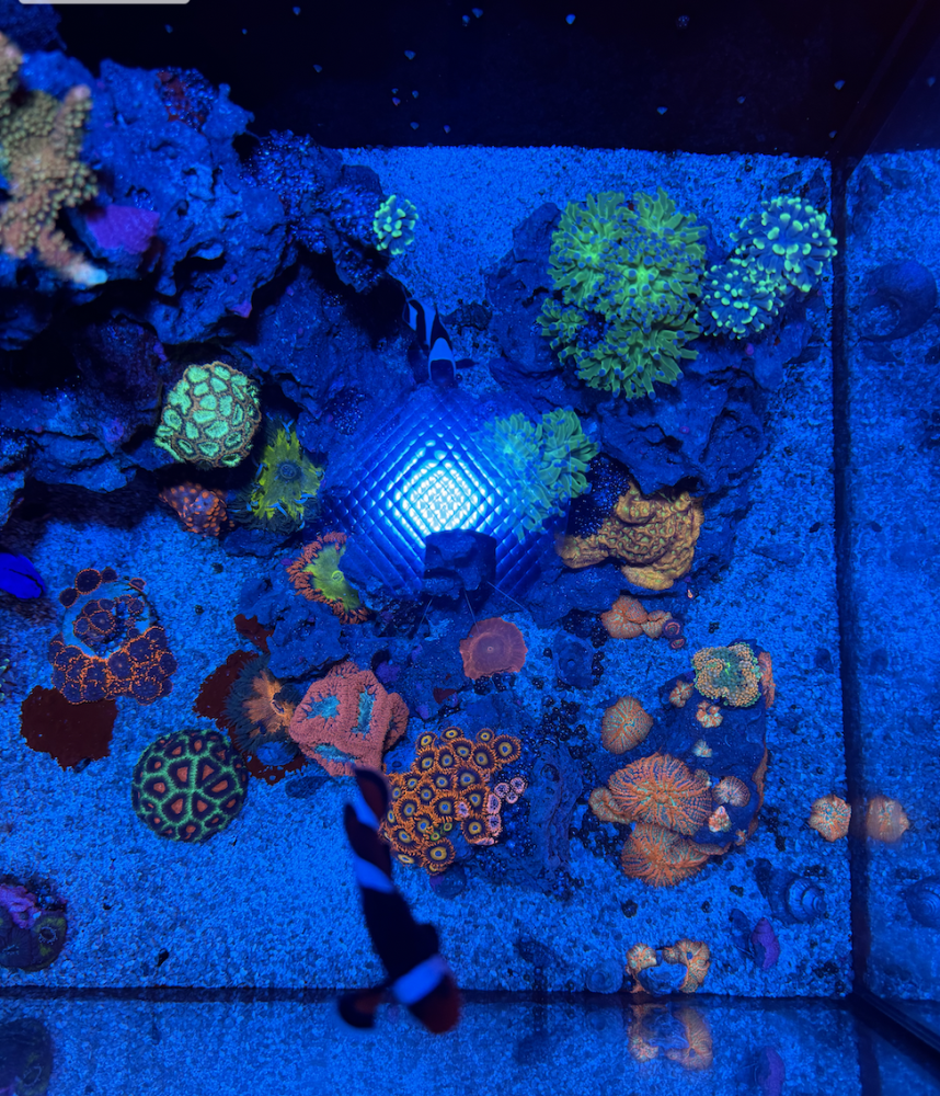 Screenshot 2023-11-08 at 2.56.32 PM.png