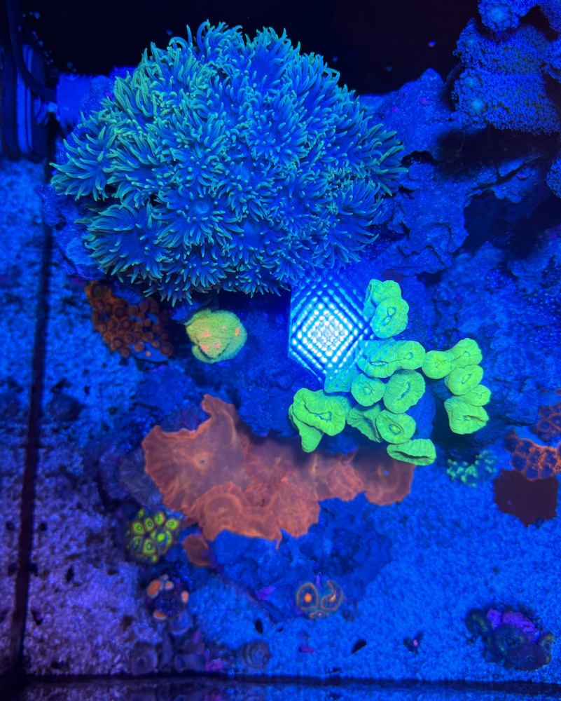 Screenshot 2023-11-08 at 2.57.17 PM.png