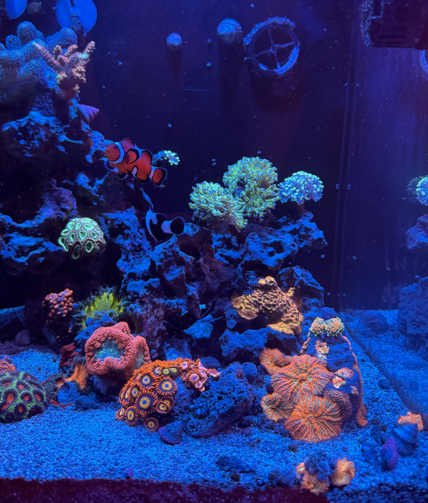 Screenshot 2023-11-08 at 2.58.08 PM.png