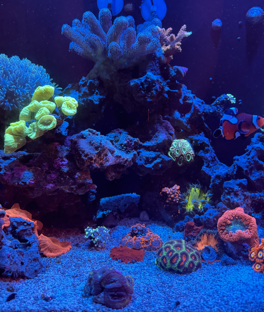 Screenshot 2023-11-08 at 2.58.22 PM.png