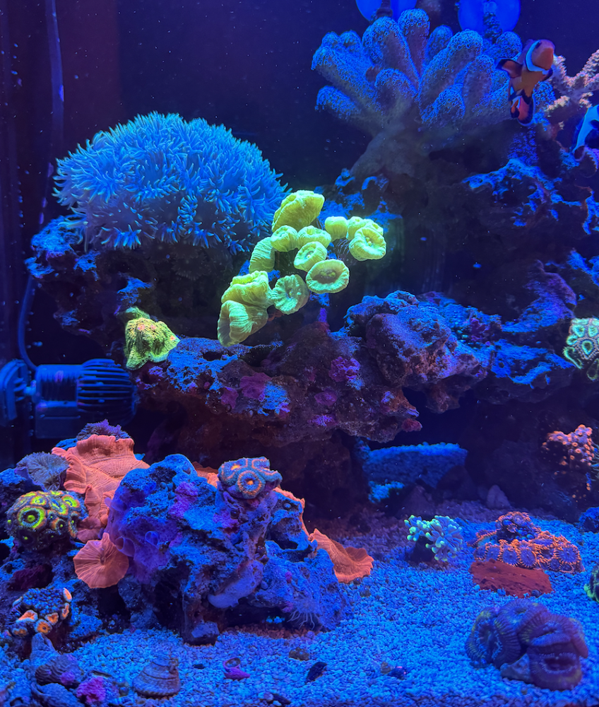 Screenshot 2023-11-08 at 2.58.39 PM.png